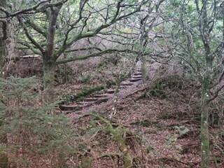 Ferienhaus Tranum Strand  13