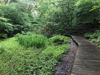 Holiday house Tranum Strand  33