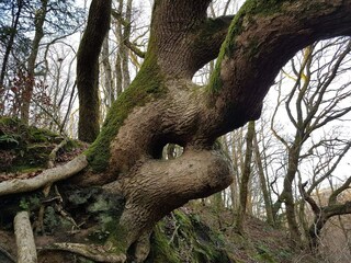 Ferienhaus Tranum Strand  15