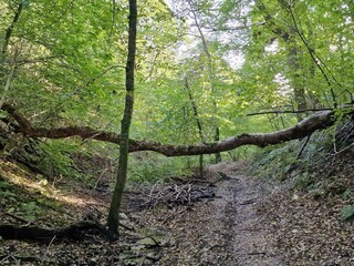 Vakantiehuis Tranum Strand  15