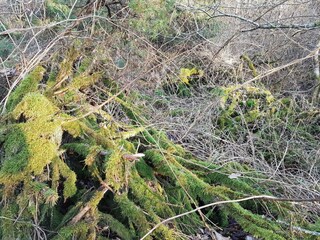 Casa per le vacanze Tranum Strand  16