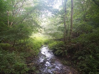 Ferienhaus Tranum Strand  18