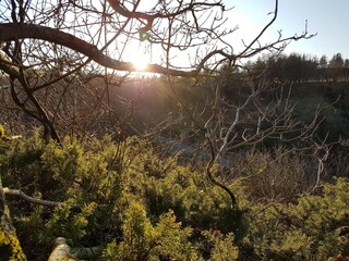 Ferienhaus Tranum Strand  31