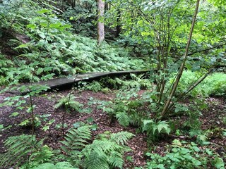 Vakantiehuis Tranum Strand  18