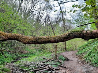 Vakantiehuis Tranum Strand  28