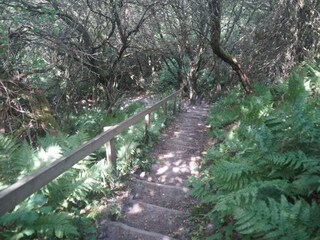 Ferienhaus Tranum Strand  21