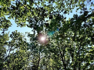 Ferienhaus Tranum Strand  21