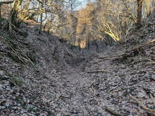 Ferienhaus Tranum Strand  23