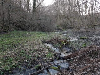 Ferienhaus Tranum Strand  24