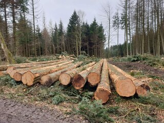 Holiday house Tranum Strand  24