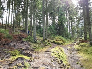 Vakantiehuis Tranum Strand  29