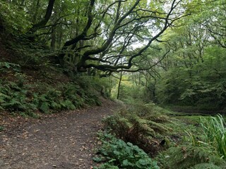 Ferienhaus Tranum Strand  25