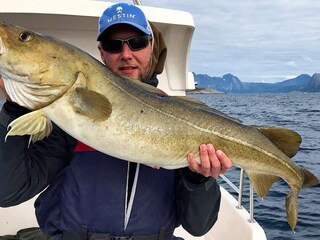 Maison de vacances Torsken  42