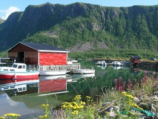 Maison de vacances Torsken  45