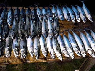 Maison de vacances Torsken  4