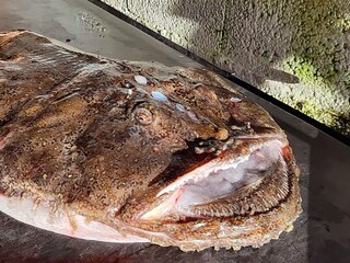 Casa de vacaciones Torsken  24