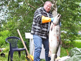 Maison de vacances Torsken  17