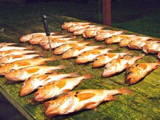 Vakantiehuis Torsken  27