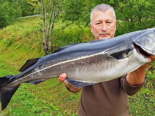 Casa per le vacanze Torsken  41