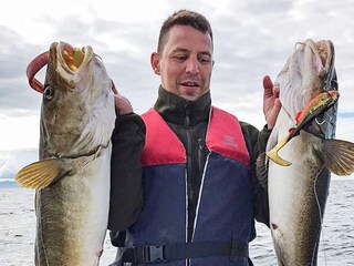 Maison de vacances Torsken  46