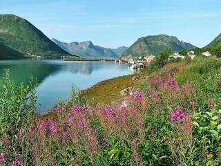 Casa per le vacanze Torsken  43