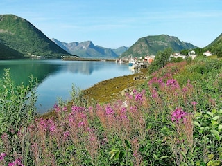 Vakantiehuis Torsken  30