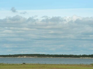 Vakantiehuis Blåvand  22