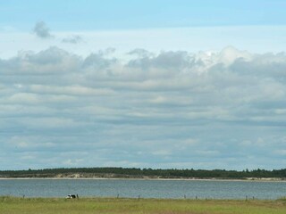 Vakantiehuis Blåvand  38