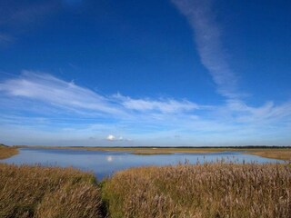 Maison de vacances Blåvand  24