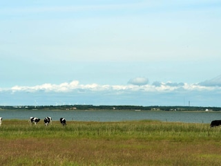 Ferienhaus Blåvand  42