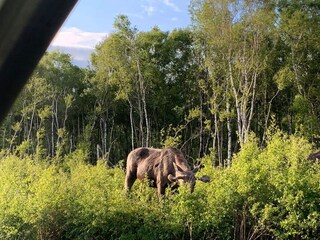 Ferienhaus Egense  18