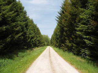 Ferienhaus Egense  11