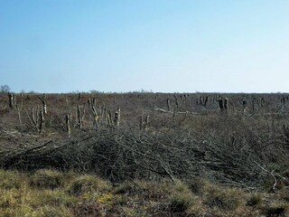 Ferienhaus Egense  29