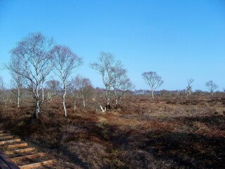 Maison de vacances Egense  30