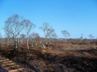 Vakantiehuis Egense  35