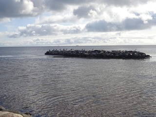 Ferienhaus Egense  15