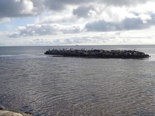 Vakantiehuis Egense  25