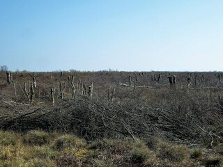 Ferienhaus Egense  20