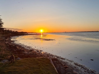 Ferienhaus Egense  23