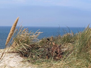 Appartamento Hvide Sande  30