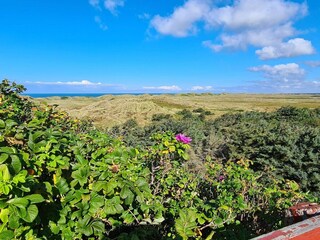 Apartamento Hvide Sande  35