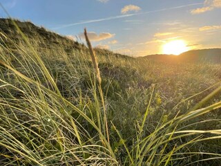 Apartment Hvide Sande  34