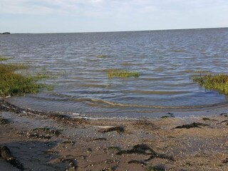 Appartement Havneby  36