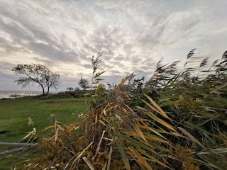Ferienhaus Helnæs  27