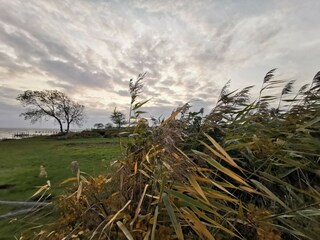 Maison de vacances Helnæs  21
