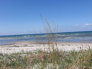 Ferienhaus Helnæs  9