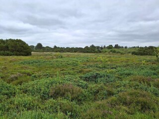 Vakantiehuis Skaven Strand  31