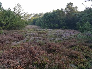 Maison de vacances Skaven Strand  32