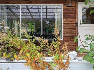 Maison de vacances Mesinge  4