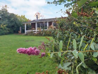 Casa per le vacanze Mesinge  8